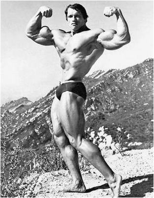 шварценеггер