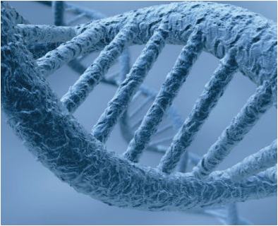 диагностировать