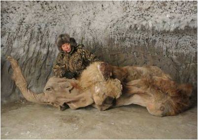 российский