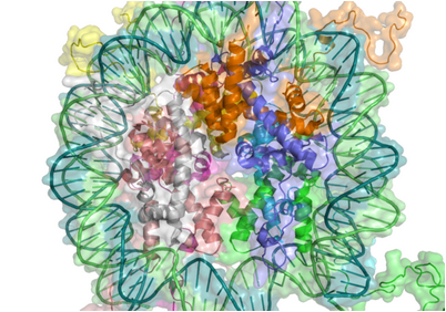 нейробиологи