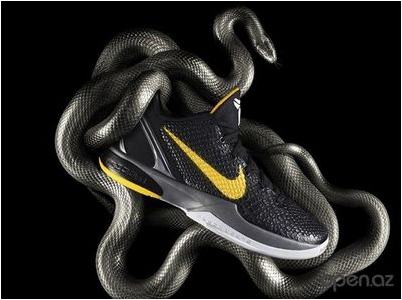 затылочной доле