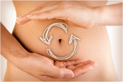 метаболизм