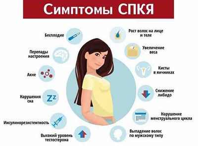 Трансплантация коричневой жировой ткани крысам снижает симптомы синдрома поликистозных яичников