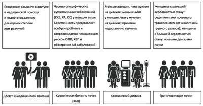 Факторы системы здравоохранения могут иметь меньшее влияние на расовые различия, связанные с почками