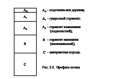 антарктидой