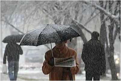 Ветер северо-восточный