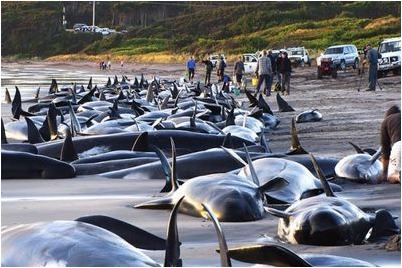 точки зрения