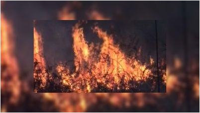 пожарная опасность