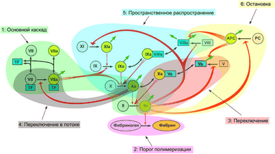 свертывание