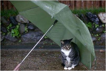 Температура среды