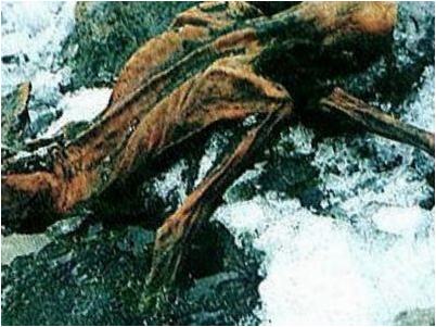 годов назад