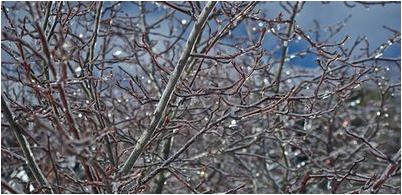 Температура среды