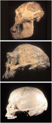 установить