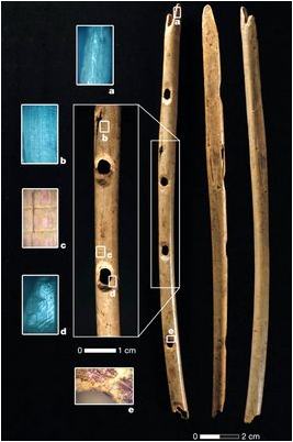 эпохи палеолита