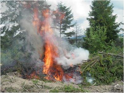 закарпатский