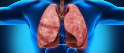 PLoS вычислительная