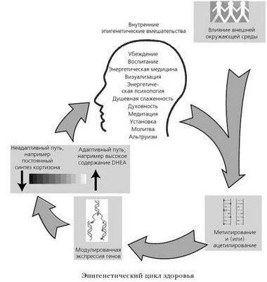 наночастицы