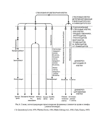 заболевание