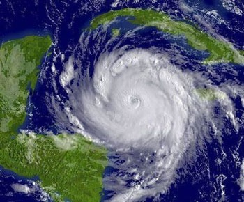 предсказывать