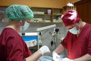 возможность заболевания