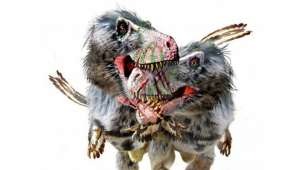 каннибализм