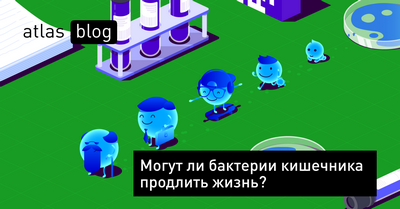 Кишечные бактерии могут помочь предсказать реакцию организма на жирную пищу