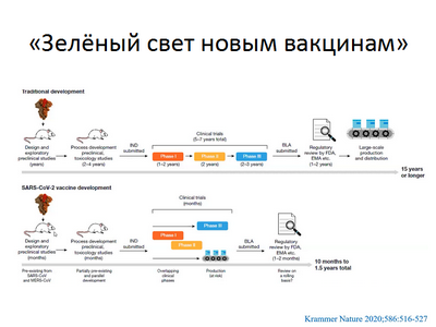Новое исследование показало, что из-за пандемии COVID-19 фертильность, вероятно, снизится